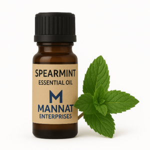 spearmint essential oil, mentha spicata oil, mint oil for digestion, essential oil for oral care, sweet mint diffuser oil, oil for sensitive skin, spearmint oil for face, third party essential oil supplier, mannat enterprises spearmint oil, oil for focus and energy