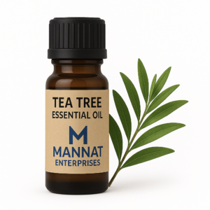 tea tree essential oil, melaleuca alternifolia oil, oil for acne treatment, anti-dandruff oil, antibacterial essential oil, tea tree oil for scalp, third party tea tree oil supplier, mannat enterprises tea tree oil, oil for fungal infections, oil for diy cleaners, tea tree oil for pimples